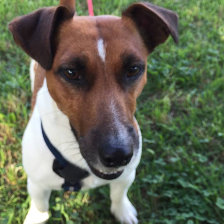 Bf7c0d3a 4921 49eb a670 6927669162ac