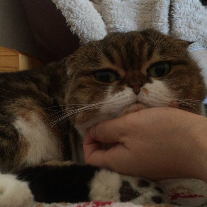 Bf7d0e42 4b89 473b 97f7 6defcc5cef7e