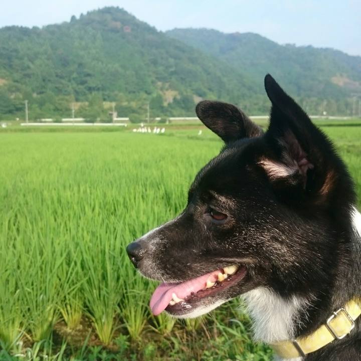 Bf7d17a3 cdc5 4bde a65e 96762b906ee3