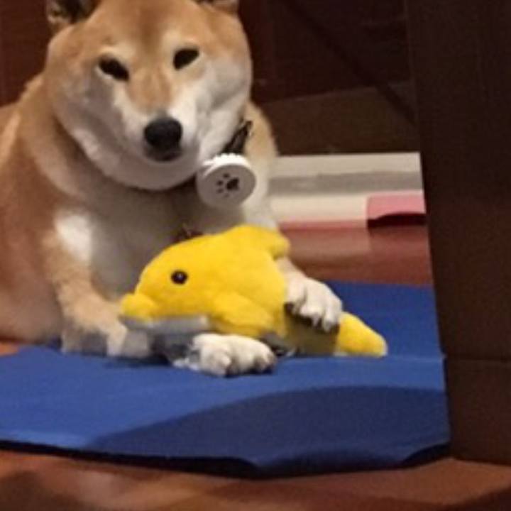 Bf7e3046 47ce 4906 bb36 82fc69148304