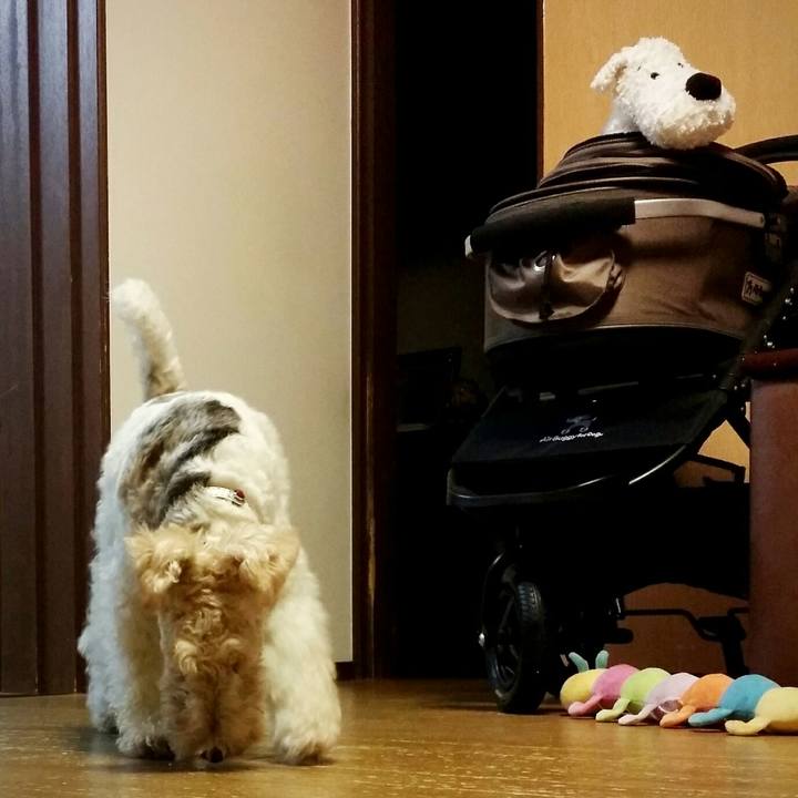 Bf7ea5c4 dd98 4bef 881f 139c24544898