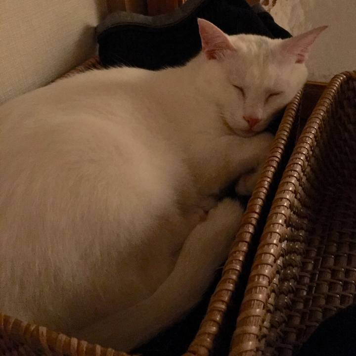 Bf7f0080 576c 40e6 9c2e 18a12193bfcf