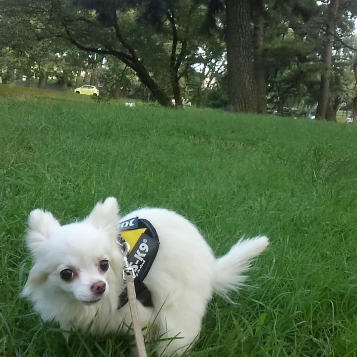 Bf7f0d4a 91e9 4c0a 83b2 f27d92b06e76