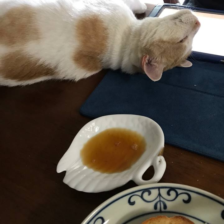 Bf7f3906 474f 4e63 bc3b 128488b70d4d