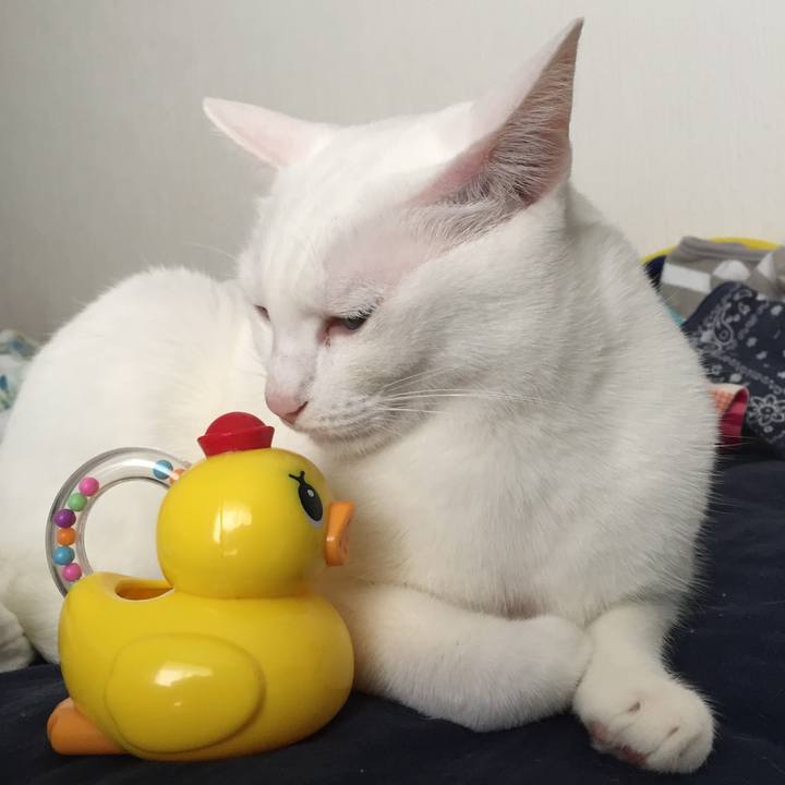 Bf7f549e a701 44b4 a67d 56c907a422c3