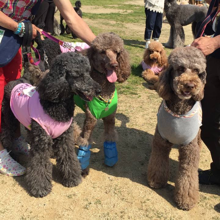 Bf7f5f73 513d 4d20 aaee 0913d419a9df