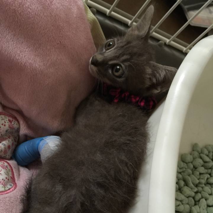 Bf7fcb73 76fa 4e3b aea8 b173cdbfb797