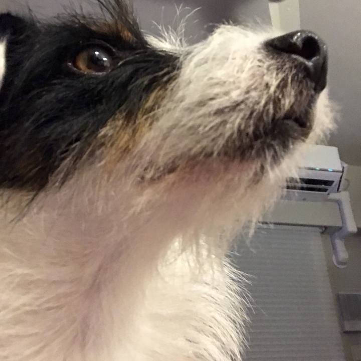 Bf800452 1cae 4475 8491 4db933c03ea7