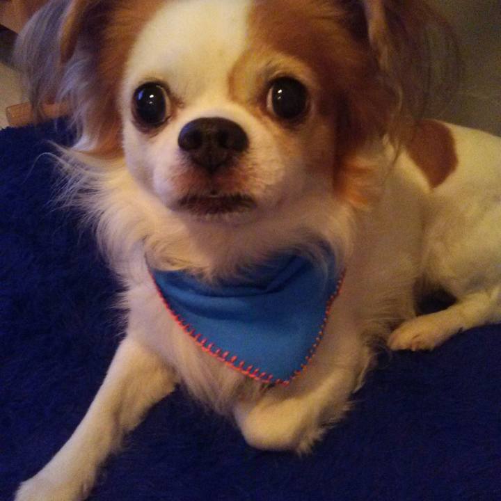 Bf8016d1 0779 4815 ac3d 71bb537af647