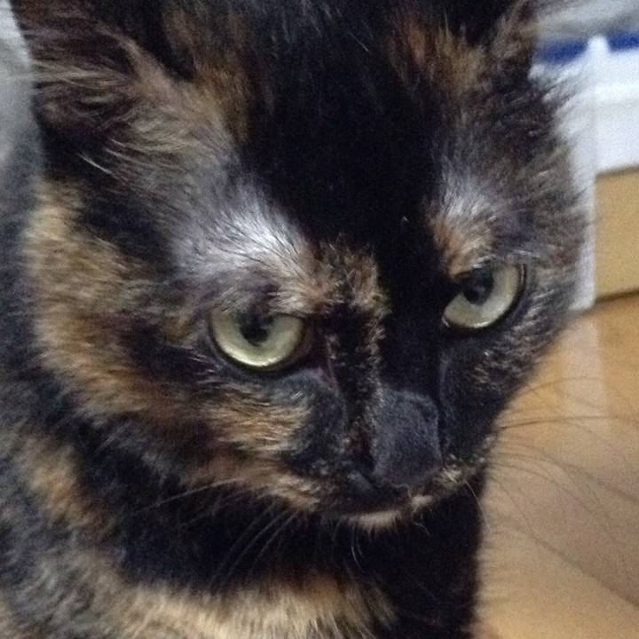 Bf8050cb fa02 4cf7 b0e7 1fa11aa03e48