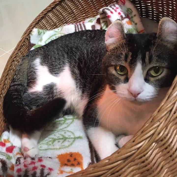 Bf808218 f345 42ee 905a 7983d72845f0