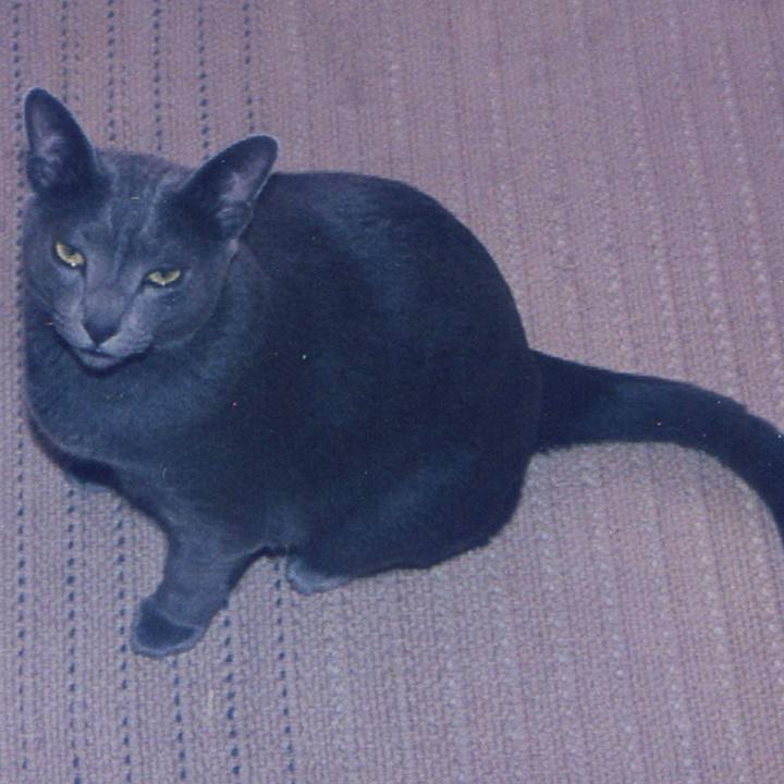 Bf81c683 ba7f 41e7 95b4 42c5e6246b72