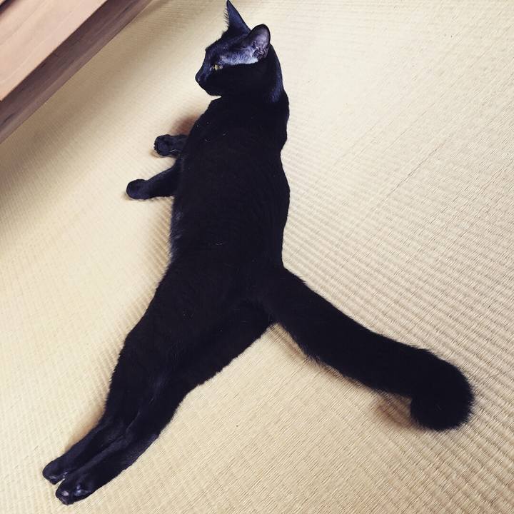 Bf81ec53 2b8c 4e4e 9f15 2a7e22fd1e31