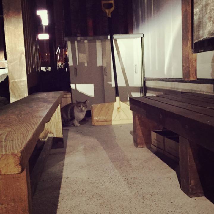 Bf8216f2 25d9 453b a7f8 a592e1744e33