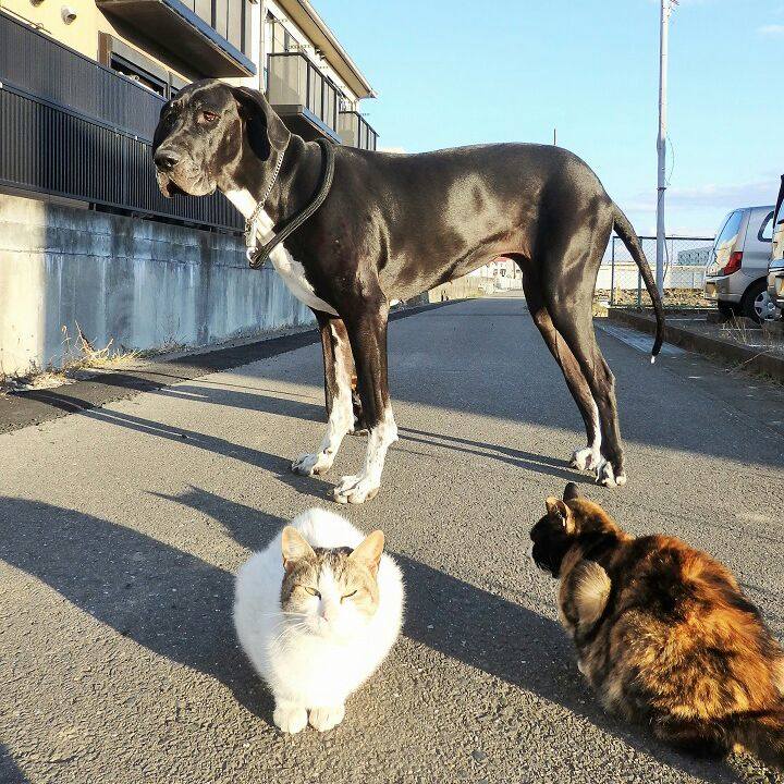 Bf828c8a fe39 4c7d bbed 5108a66f790a