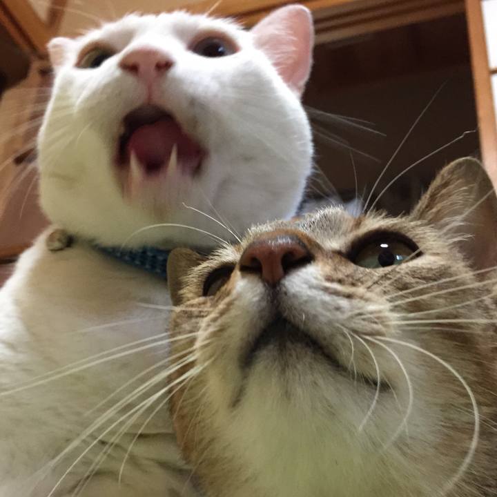 Bf829f93 d559 473e 85d7 3b163a8c6e81