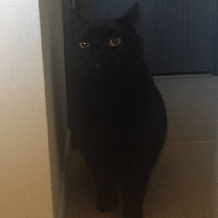 Bf82a9b6 6c42 46c0 b5be b361e530308b