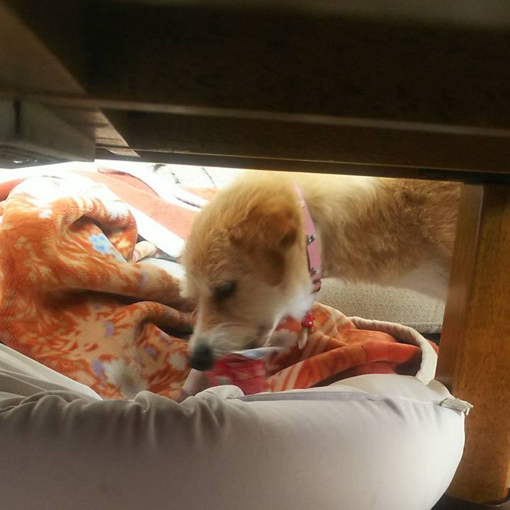 Bf82d35f f356 4ef4 baa9 b36d5ba49734