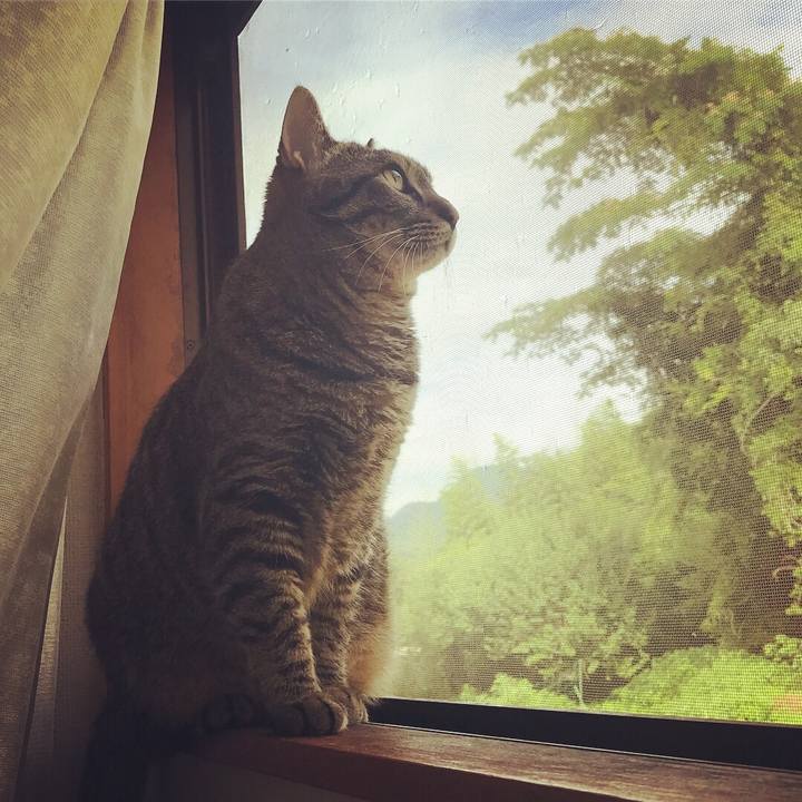 Bf83171c 5489 4c7c a4af ae814e761ea1