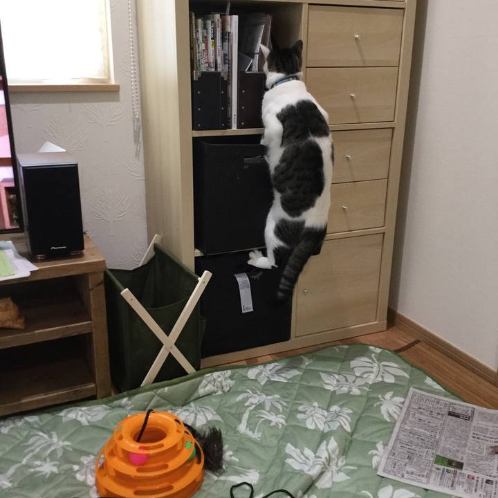 Bf83ba85 99c4 45c7 9d44 a524ef866166