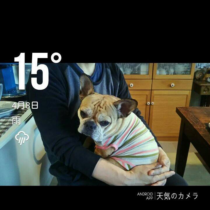 Bf840668 03a8 4826 a13f a3d1c7ffa01a