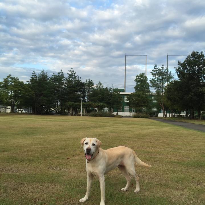 Bf84610b 5e50 494a ab45 2381f43aad2a