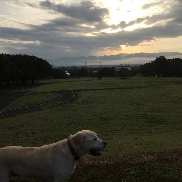 Bf84b865 2d39 4abf 93f9 8138db0e2325