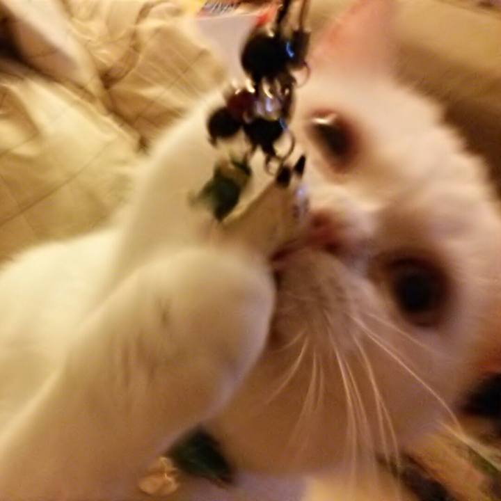 Bf84ffb0 c9e9 47e3 9bde f8b63300473d