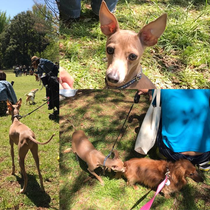 Bf850dd0 fef4 4c10 a0a9 159c69aa54dd