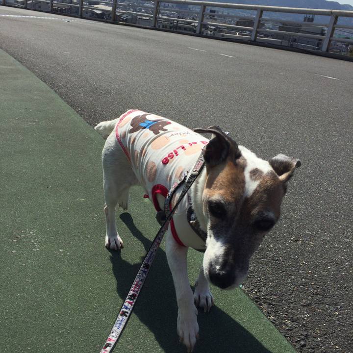 Bf8558cd d078 4ab2 baf1 2ad9b408b6ec