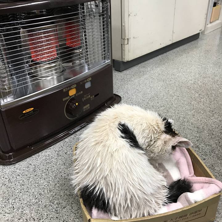 Bf8578f0 d79d 42fd a2ce 1653ac13dbca