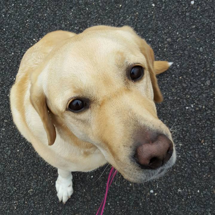 Bf85c492 ed96 4c91 9d87 8175d1f26bdc