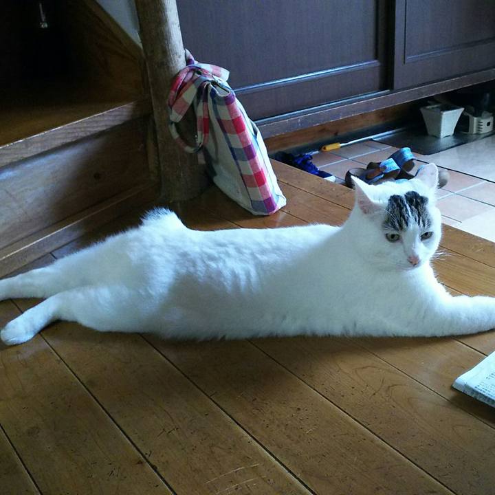 Bf85f321 798b 4664 b5d1 4b59943df7c9