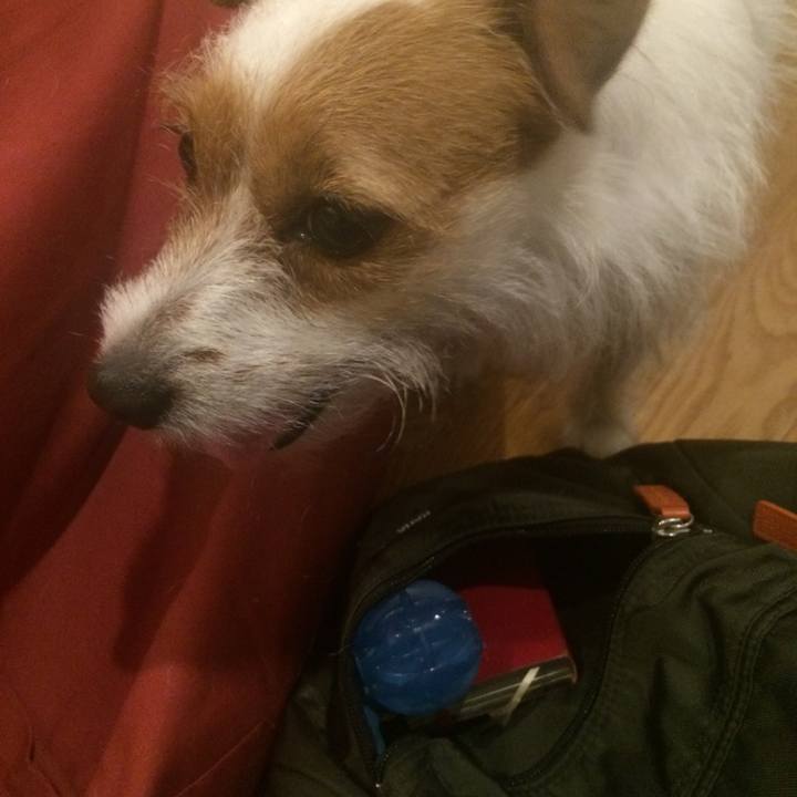 Bf860e78 6ac8 453f 97c2 b3e8d1884c22