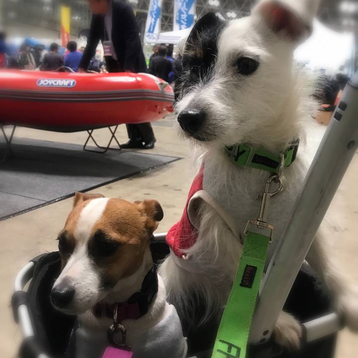 Bf863c1a 597a 4faa 8d67 0e5889cc120d