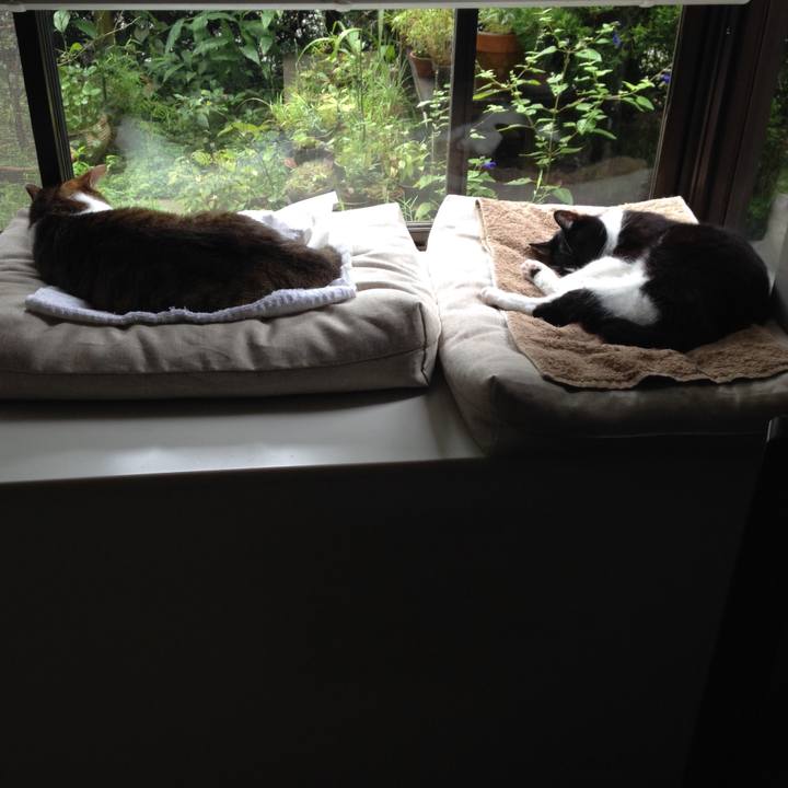 Bf86cd1b cd7b 4259 b53f 79bb7337e31f