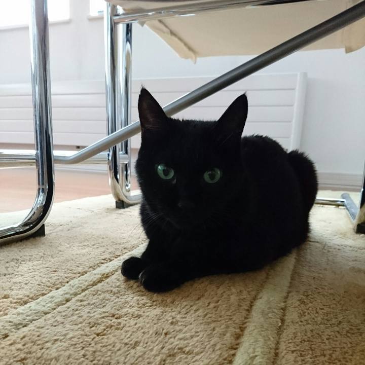 Bf86d9e3 e3b3 43d1 ba14 27662446f656