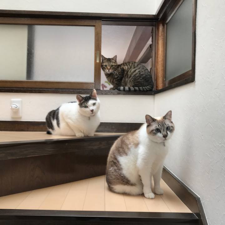 Bf87d810 a962 43b4 ab61 5991edf82ec1