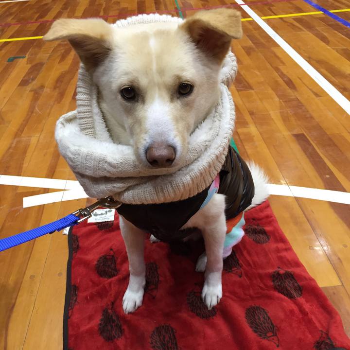 Bf8877a1 e835 4ae9 a6f9 93f037005362