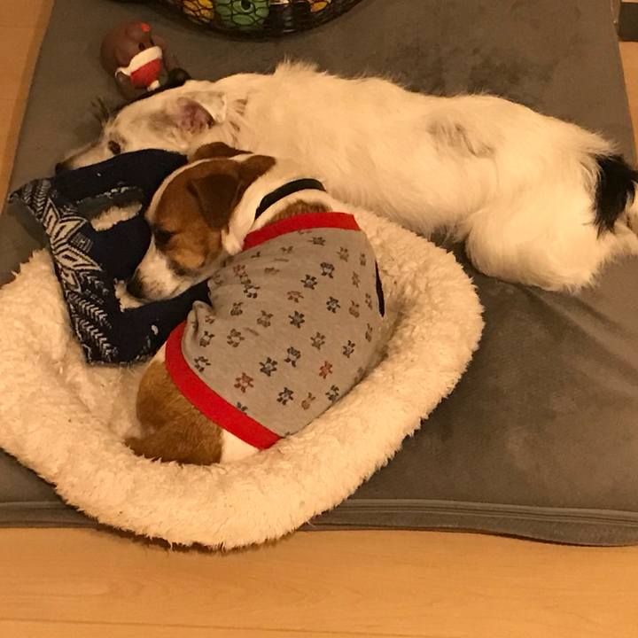 Bf8963e6 31f6 427a aed6 cf40df25440c