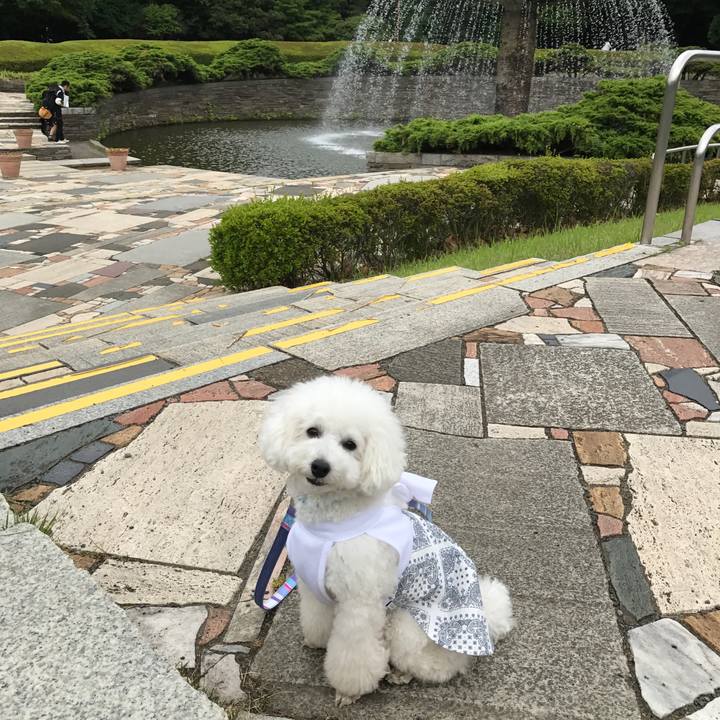 Bf89768c 9c4a 4ed5 a804 321ee33dabad