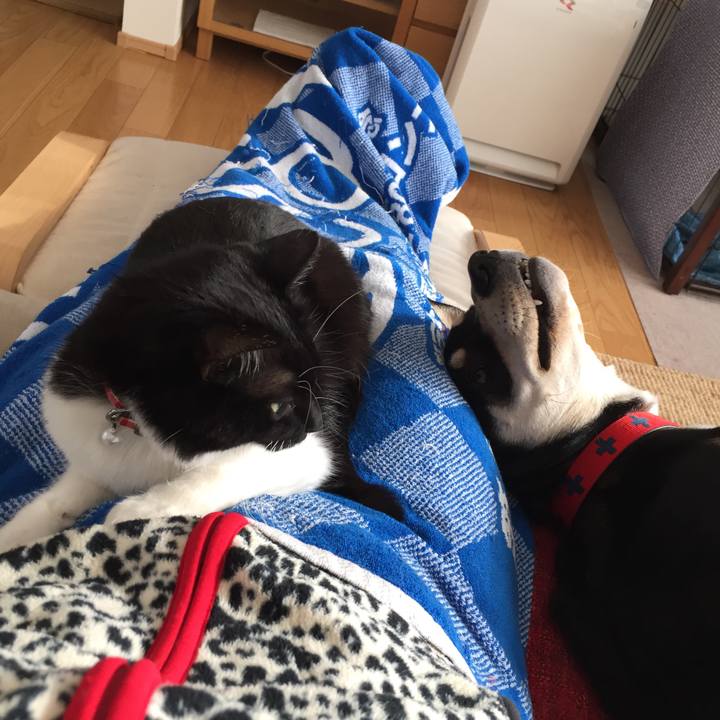 Bf8a5ac0 ce59 439d 9df8 76626fdfa836