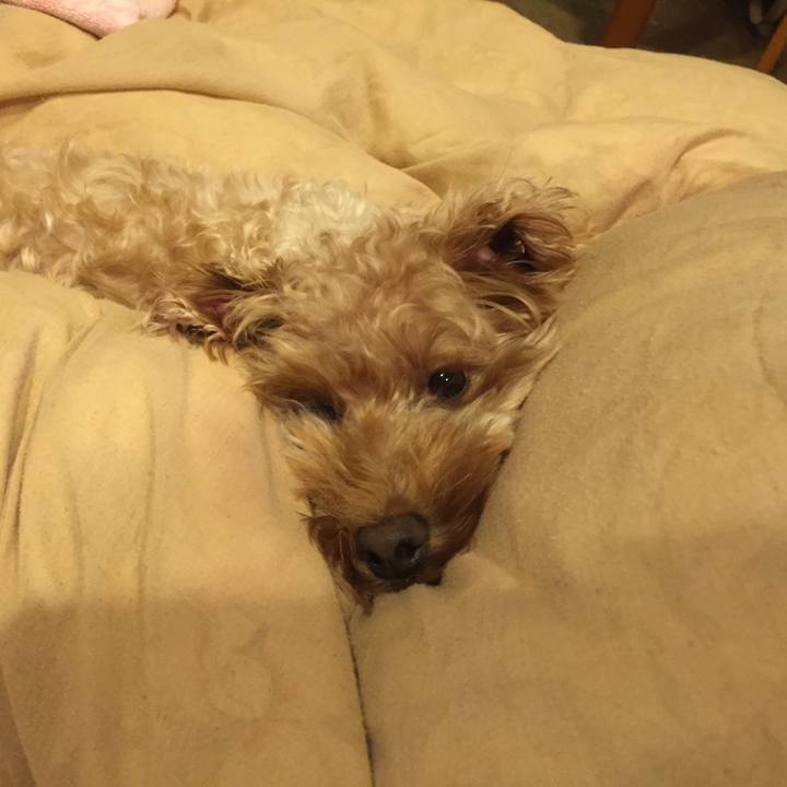 Bf8aaff4 7411 4a0c ba79 b394dae6e4fd