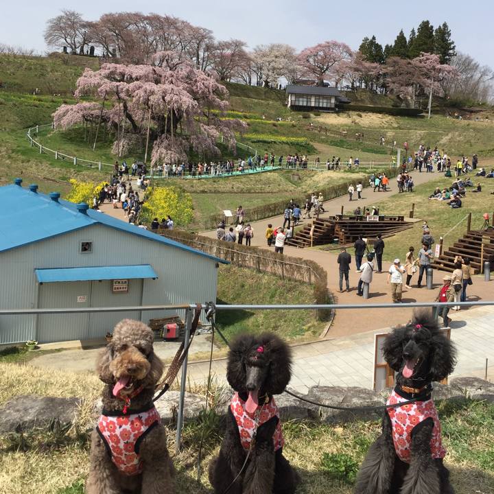 Bf8ba32e 030b 43ef ac3a 19edfcfb7ab2