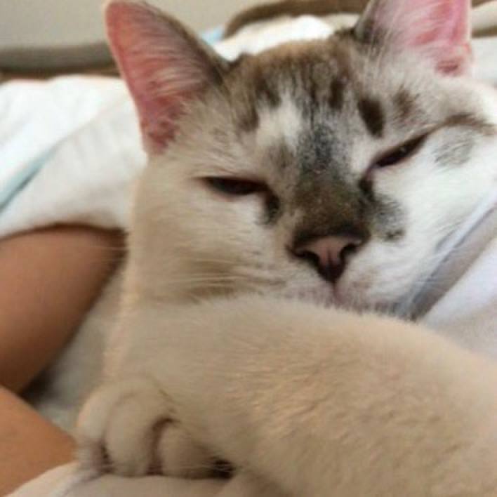 Bf8bd0d7 37ee 409f a529 cc7c19fdff3e