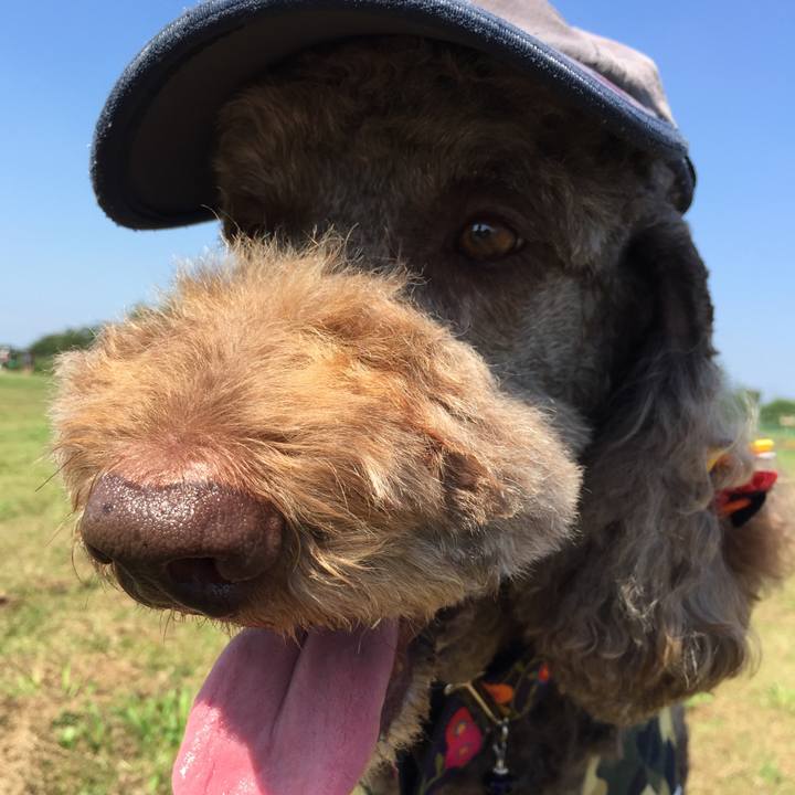 Bf8bdf39 fd29 414a 8df5 f3226ef08fc5