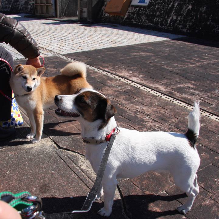 Bf8be087 d733 49c8 85bf dda26b634192