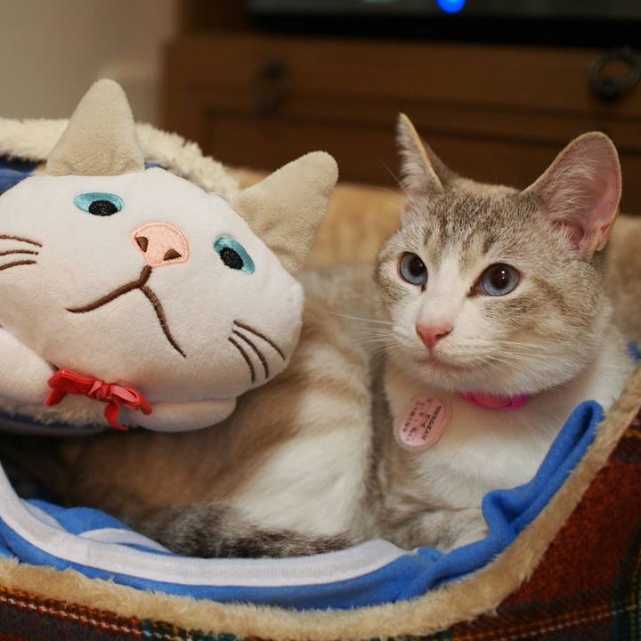 Bf8bf427 0282 4766 8180 b6387736f5b0