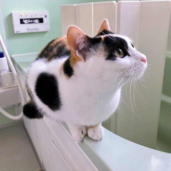 Bf8c922c 1d35 4769 8ee1 74b3362b9f35