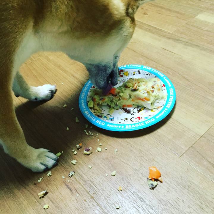 Bf8caa22 fcc8 43be 9747 16f7e683cdf7